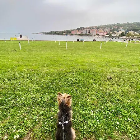 Adria * Portorož